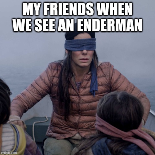 Bird Box Meme | MY FRIENDS WHEN WE SEE AN ENDERMAN | image tagged in memes,bird box | made w/ Imgflip meme maker