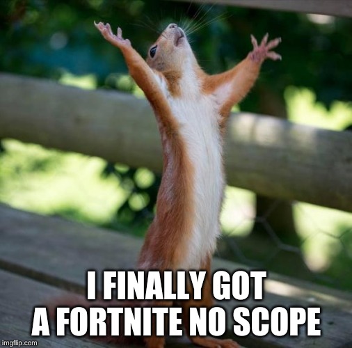 Fortnite No Scope | I FINALLY GOT A FORTNITE NO SCOPE | image tagged in finally,squirrel,fortnite,sniper,funny | made w/ Imgflip meme maker