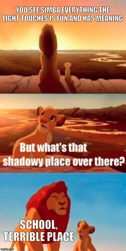 Simba Shadowy Place | YOU SEE SIMBA EVERYTHING THE LIGHT TOUCHES IS FUN AND HAS MEANING; SCHOOL, TERRIBLE PLACE | image tagged in memes,simba shadowy place | made w/ Imgflip meme maker