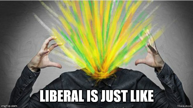 LIBERAL IS JUST LIKE | made w/ Imgflip meme maker