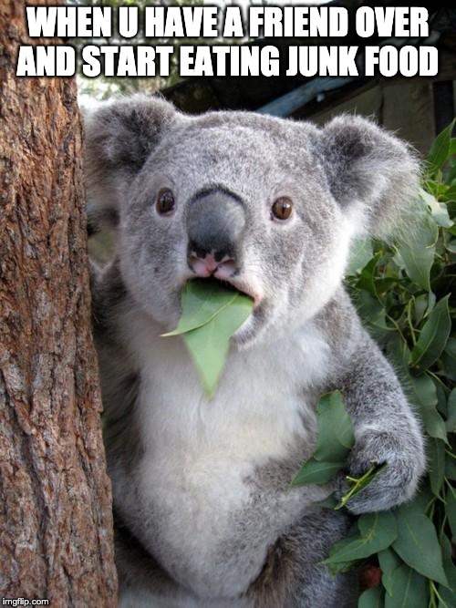 Surprised Koala Meme | WHEN U HAVE A FRIEND OVER AND START EATING JUNK FOOD | image tagged in memes,surprised koala | made w/ Imgflip meme maker