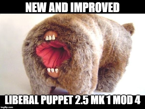 Liberal puppet updated | NEW AND IMPROVED; LIBERAL PUPPET 2.5 MK 1 MOD 4 | image tagged in liberal logic,liberals | made w/ Imgflip meme maker