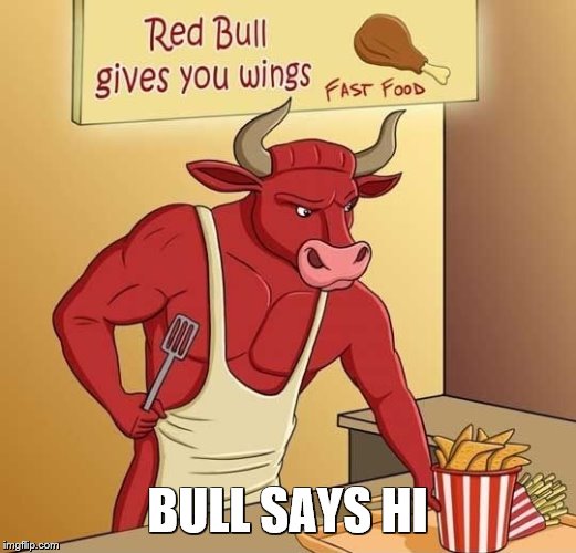 Red Bull Gives You Wings | BULL SAYS HI | image tagged in red bull gives you wings | made w/ Imgflip meme maker