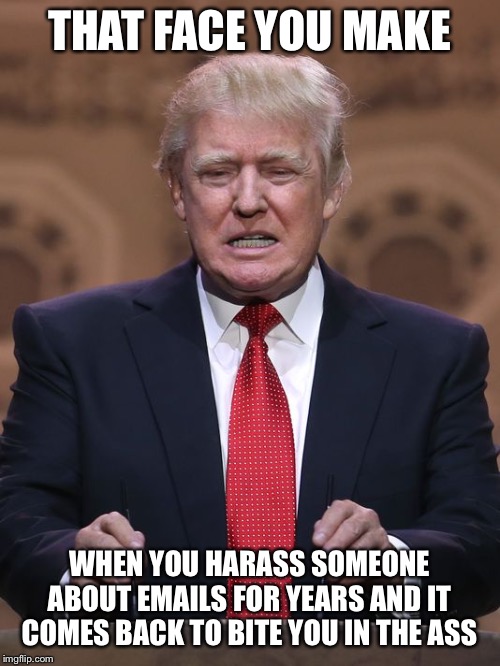 Donald Trump | THAT FACE YOU MAKE WHEN YOU HARASS SOMEONE ABOUT EMAILS FOR YEARS AND IT COMES BACK TO BITE YOU IN THE ASS | image tagged in donald trump | made w/ Imgflip meme maker