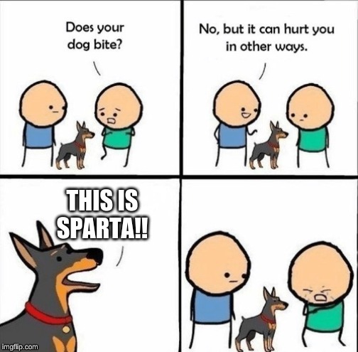 does your dog bite | THIS IS SPARTA!! | image tagged in does your dog bite | made w/ Imgflip meme maker