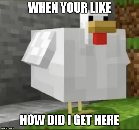  WHEN YOUR LIKE; HOW DID I GET HERE | image tagged in cursed chicken | made w/ Imgflip meme maker
