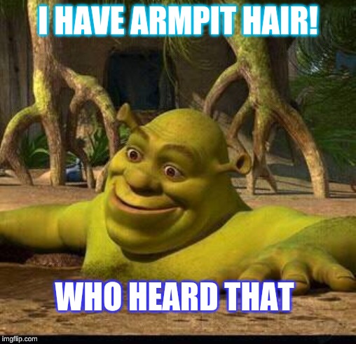 shreck | I HAVE ARMPIT HAIR! WHO HEARD THAT | image tagged in shreck | made w/ Imgflip meme maker