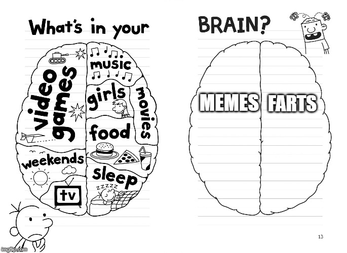 Diary of a wimpy kid brain | FARTS; MEMES | image tagged in diary of a wimpy kid brain | made w/ Imgflip meme maker