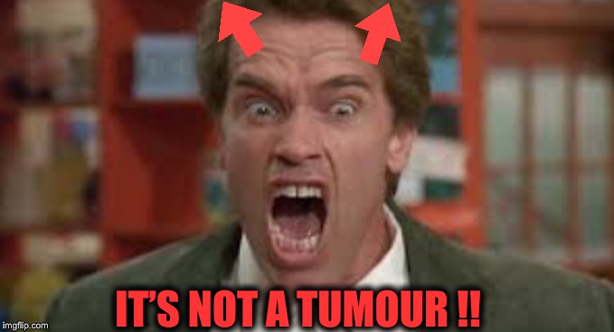 IT’S NOT A TUMOUR !! | made w/ Imgflip meme maker