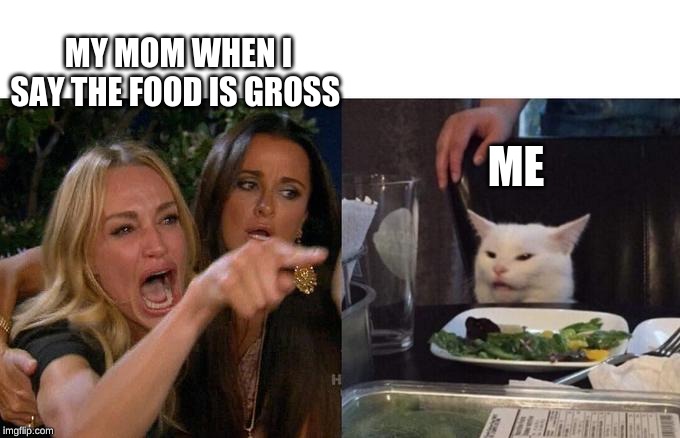 Woman Yelling At Cat Meme | MY MOM WHEN I SAY THE FOOD IS GROSS; ME | image tagged in two women yelling at a cat | made w/ Imgflip meme maker