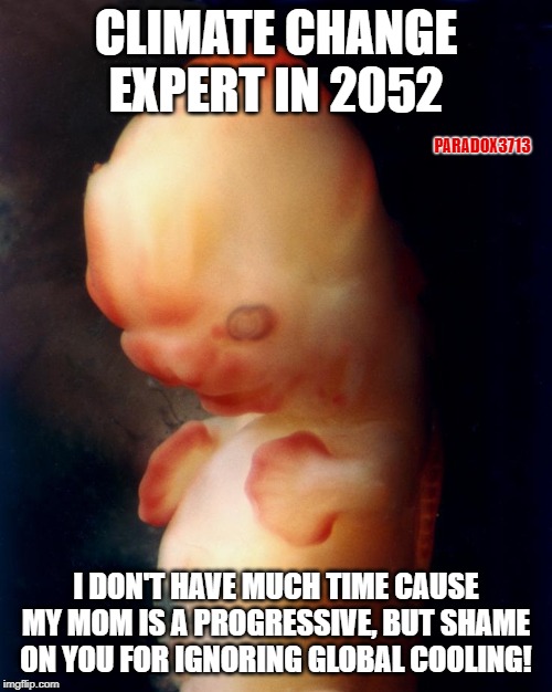 Too soon?  I mean the numbers match up, and Climate Fraud is a thing, right? | CLIMATE CHANGE EXPERT IN 2052; PARADOX3713; I DON'T HAVE MUCH TIME CAUSE MY MOM IS A PROGRESSIVE, BUT SHAME ON YOU FOR IGNORING GLOBAL COOLING! | image tagged in memes,progressives,globalists,climate change,fear,epic fail | made w/ Imgflip meme maker