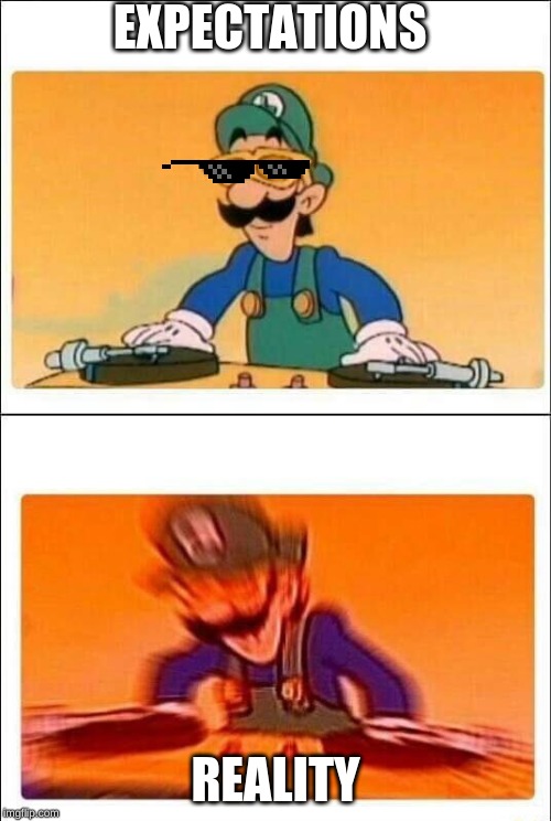 Luigi DJ | EXPECTATIONS; REALITY | image tagged in luigi dj | made w/ Imgflip meme maker