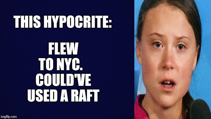 Hypocrisy! Hypocrisy! Hypocrisy! | FLEW TO NYC.   COULD'VE USED A RAFT; THIS HYPOCRITE: | image tagged in funny memes,funny,gifs,memes | made w/ Imgflip meme maker