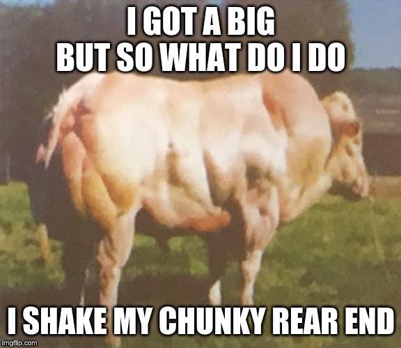 Chunky cow | I GOT A BIG BUT SO WHAT DO I DO; I SHAKE MY CHUNKY REAR END | image tagged in chunky cow | made w/ Imgflip meme maker