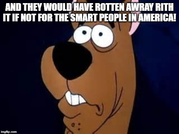 Scooby Doo Surprised | AND THEY WOULD HAVE ROTTEN AWRAY RITH IT IF NOT FOR THE SMART PEOPLE IN AMERICA! | image tagged in scooby doo surprised | made w/ Imgflip meme maker
