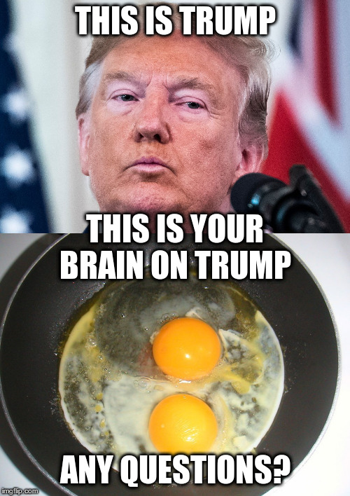 Seriously, trying to keep-up with this administration is frying my brain | THIS IS TRUMP; THIS IS YOUR BRAIN ON TRUMP; ANY QUESTIONS? | image tagged in trump,humor,brain on drugs,fried eggs | made w/ Imgflip meme maker