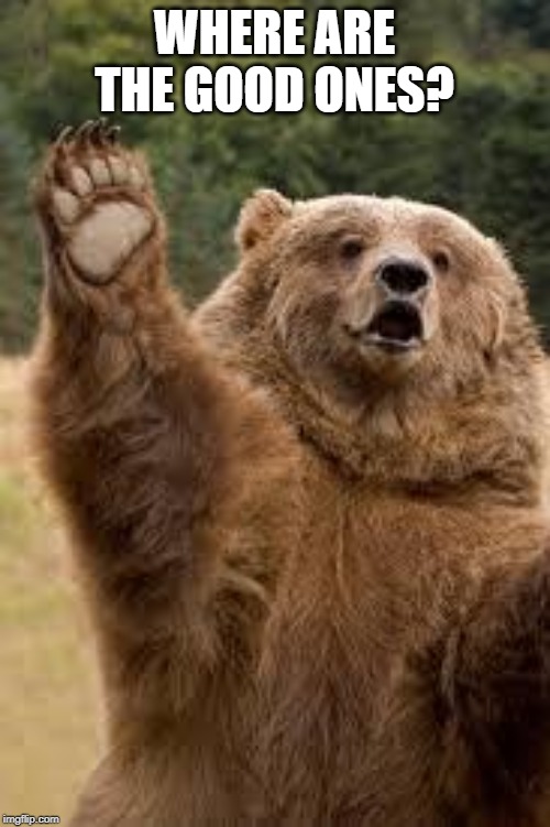 grizzly bear | WHERE ARE THE GOOD ONES? | image tagged in grizzly bear | made w/ Imgflip meme maker