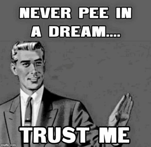 This happened to a friend of mine...not me... | image tagged in peeing in a dream,memes,wetting the bed,funny,don't do it,trust me | made w/ Imgflip meme maker
