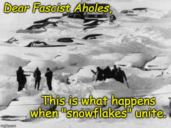 snowflakes united | Dear Fascist Aholes, This is what happens when "snowflakes" unite. | image tagged in political meme | made w/ Imgflip meme maker
