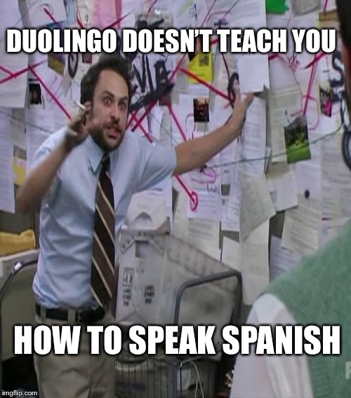 When you spend 3 months learning a second language on an app | DUOLINGO DOESN’T TEACH YOU; HOW TO SPEAK SPANISH | image tagged in spanish | made w/ Imgflip meme maker