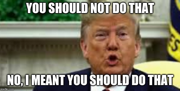 YOU SHOULD NOT DO THAT; NO, I MEANT YOU SHOULD DO THAT | image tagged in donald trump,politics | made w/ Imgflip meme maker