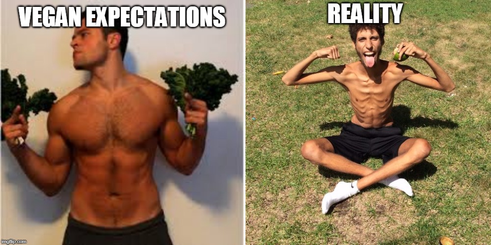 The truth about vegans | REALITY; VEGAN EXPECTATIONS | image tagged in vegan,meat,carnivores,bbq,beef,vegan4life | made w/ Imgflip meme maker