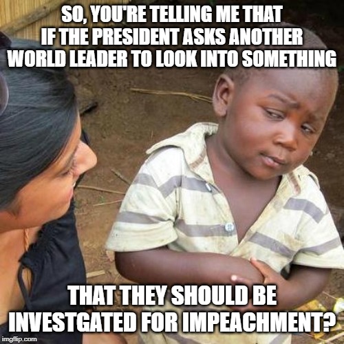 Better Go Back and Investigate about Half Our Presidents! | SO, YOU'RE TELLING ME THAT IF THE PRESIDENT ASKS ANOTHER WORLD LEADER TO LOOK INTO SOMETHING; THAT THEY SHOULD BE INVESTGATED FOR IMPEACHMENT? | image tagged in memes,third world skeptical kid | made w/ Imgflip meme maker