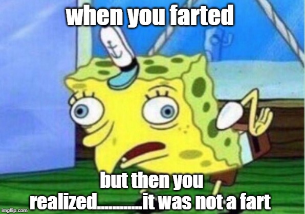 Mocking Spongebob Meme | when you farted; but then you realized............it was not a fart | image tagged in memes,mocking spongebob | made w/ Imgflip meme maker
