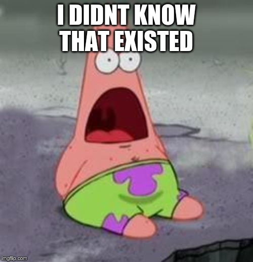 Suprised Patrick | I DIDNT KNOW THAT EXISTED | image tagged in suprised patrick | made w/ Imgflip meme maker