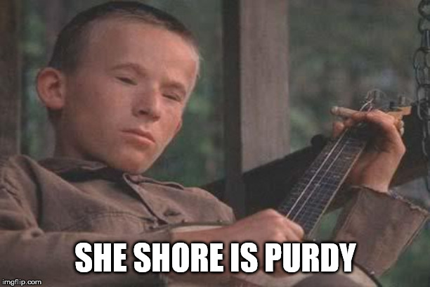 Deliverance Banjo | SHE SHORE IS PURDY | image tagged in deliverance banjo | made w/ Imgflip meme maker