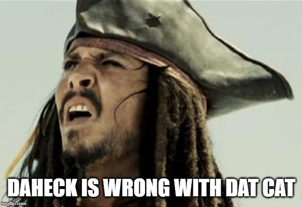 confused dafuq jack sparrow what | DAHECK IS WRONG WITH DAT CAT | image tagged in confused dafuq jack sparrow what | made w/ Imgflip meme maker