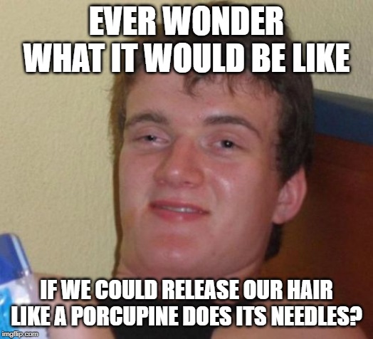 10 Guy |  EVER WONDER WHAT IT WOULD BE LIKE; IF WE COULD RELEASE OUR HAIR LIKE A PORCUPINE DOES ITS NEEDLES? | image tagged in memes,10 guy | made w/ Imgflip meme maker