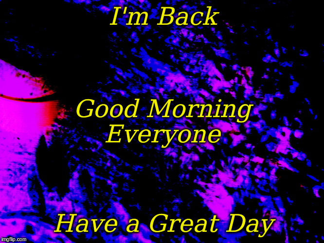 I'm Back | I'm Back; Good Morning
Everyone; Have a Great Day | image tagged in blue and mauve background,i'm back | made w/ Imgflip meme maker
