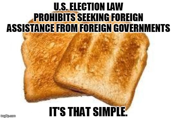 Are you a Republican or an American? | U.S. ELECTION LAW PROHIBITS SEEKING FOREIGN ASSISTANCE FROM FOREIGN GOVERNMENTS; IT'S THAT SIMPLE. | image tagged in toast,election 2020,foreign,meddling,interference | made w/ Imgflip meme maker