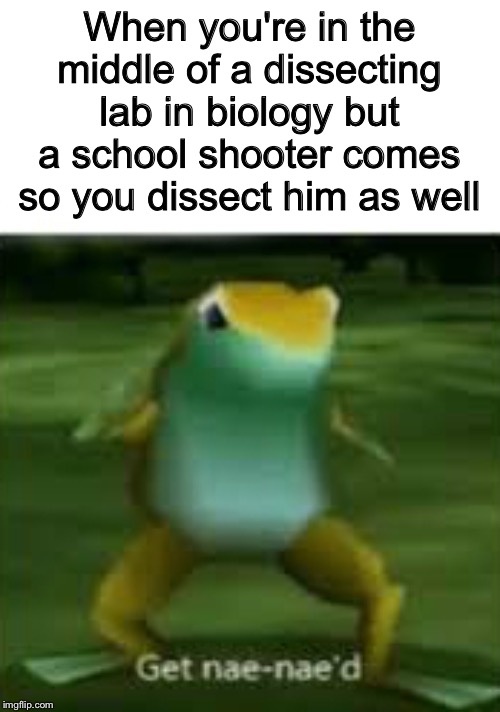 Get nae nae'd | When you're in the middle of a dissecting lab in biology but a school shooter comes so you dissect him as well | image tagged in get nae nae'd | made w/ Imgflip meme maker