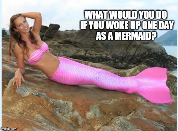 WHAT WOULD YOU DO    
 IF YOU WOKE UP ONE DAY
 AS A MERMAID? | image tagged in mermaid,woke up,what would you do | made w/ Imgflip meme maker