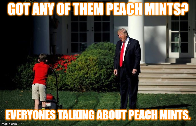 M Peach Mints | GOT ANY OF THEM PEACH MINTS? EVERYONES TALKING ABOUT PEACH MINTS. | image tagged in trump lawn mower,impeach trump,impeachment,impeach,ukraine,treason | made w/ Imgflip meme maker