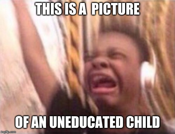 Turn up | THIS IS A  PICTURE; OF AN UNEDUCATED CHILD | image tagged in turn up | made w/ Imgflip meme maker