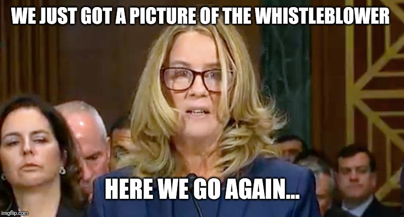 Christine Blasey Ford | WE JUST GOT A PICTURE OF THE WHISTLEBLOWER; HERE WE GO AGAIN... | image tagged in christine blasey ford | made w/ Imgflip meme maker