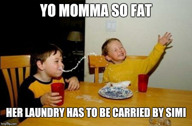 Yo Momma So Fat | YO MOMMA SO FAT HER LAUNDRY HAS TO BE CARRIED BY SIMI | image tagged in yo momma so fat | made w/ Imgflip meme maker