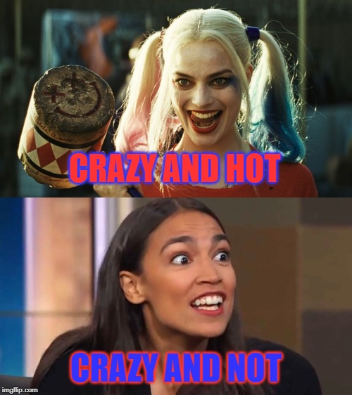  CRAZY AND HOT; CRAZY AND NOT | image tagged in harley quinn,crazy aoc | made w/ Imgflip meme maker