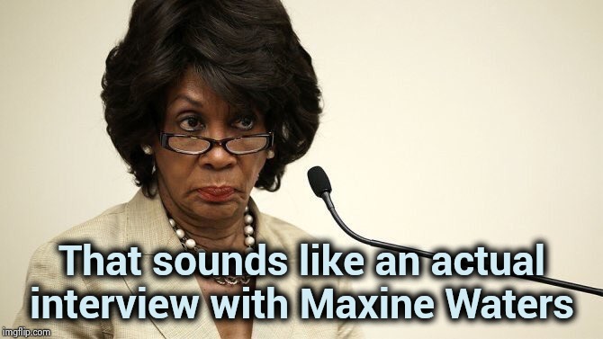 Maxine Waters Crazy | That sounds like an actual interview with Maxine Waters | image tagged in maxine waters crazy | made w/ Imgflip meme maker