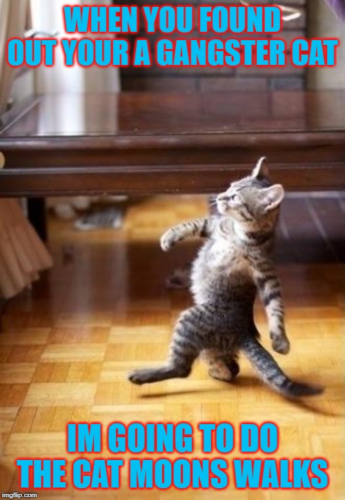 Cool Cat Stroll Meme | WHEN YOU FOUND OUT YOUR A GANGSTER CAT; IM GOING TO DO THE CAT MOONS WALKS | image tagged in memes,cool cat stroll | made w/ Imgflip meme maker