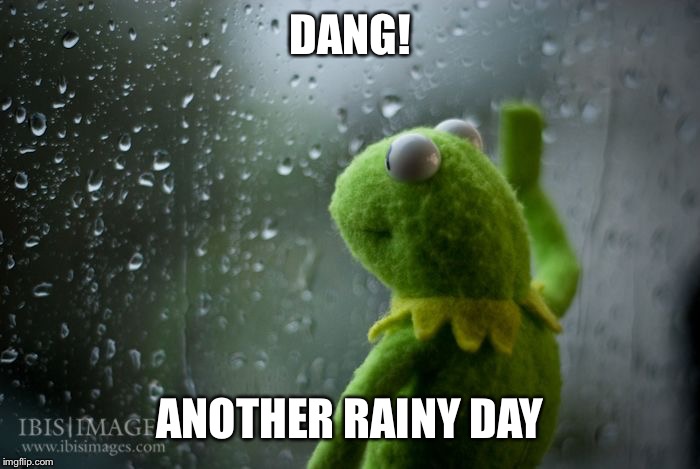 kermit window | DANG! ANOTHER RAINY DAY | image tagged in kermit window | made w/ Imgflip meme maker