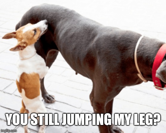 YOU STILL HUMPING MY LEG? | made w/ Imgflip meme maker