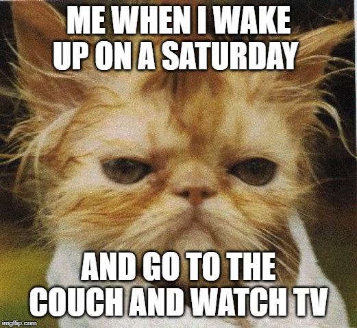 Messed up cat | ME WHEN I WAKE UP ON A SATURDAY; AND GO TO THE COUCH AND WATCH TV | image tagged in messed up cat | made w/ Imgflip meme maker