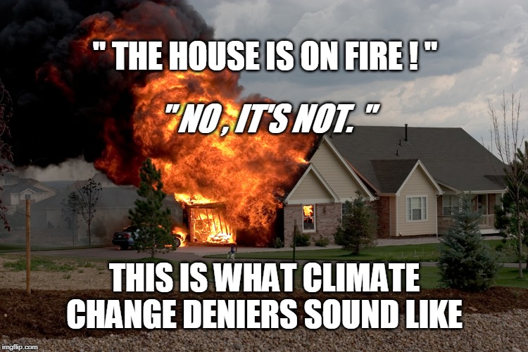 " THE HOUSE IS ON FIRE ! "; " NO , IT'S NOT. "; THIS IS WHAT CLIMATE CHANGE DENIERS SOUND LIKE | image tagged in climate change | made w/ Imgflip meme maker