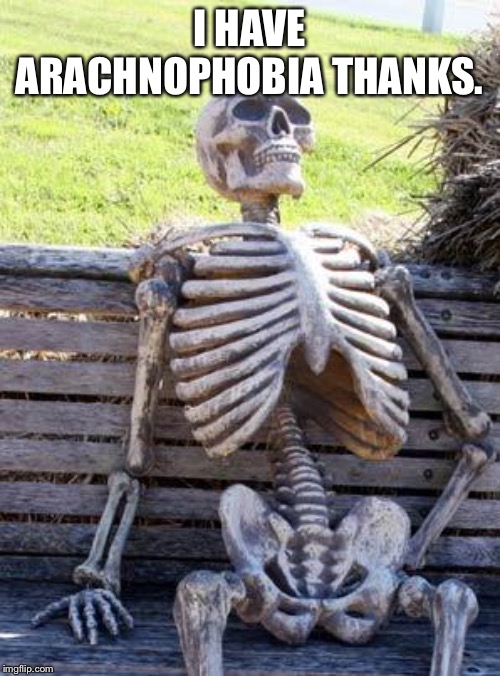 I HAVE ARACHNOPHOBIA THANKS. | image tagged in memes,waiting skeleton | made w/ Imgflip meme maker