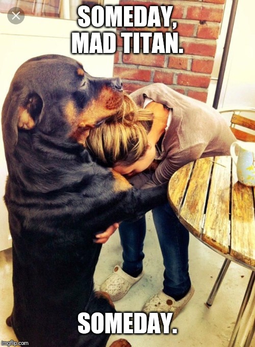 Dog comforting human | SOMEDAY, MAD TITAN. SOMEDAY. | image tagged in dog comforting human | made w/ Imgflip meme maker