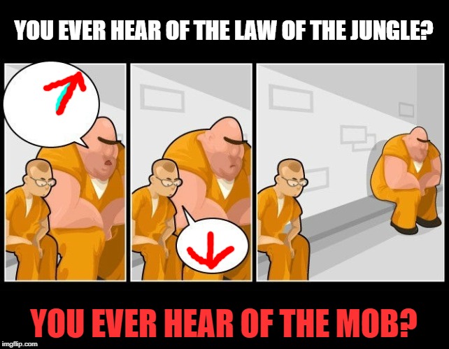 hierarchy | YOU EVER HEAR OF THE LAW OF THE JUNGLE? YOU EVER HEAR OF THE MOB? | image tagged in hierarchy | made w/ Imgflip meme maker
